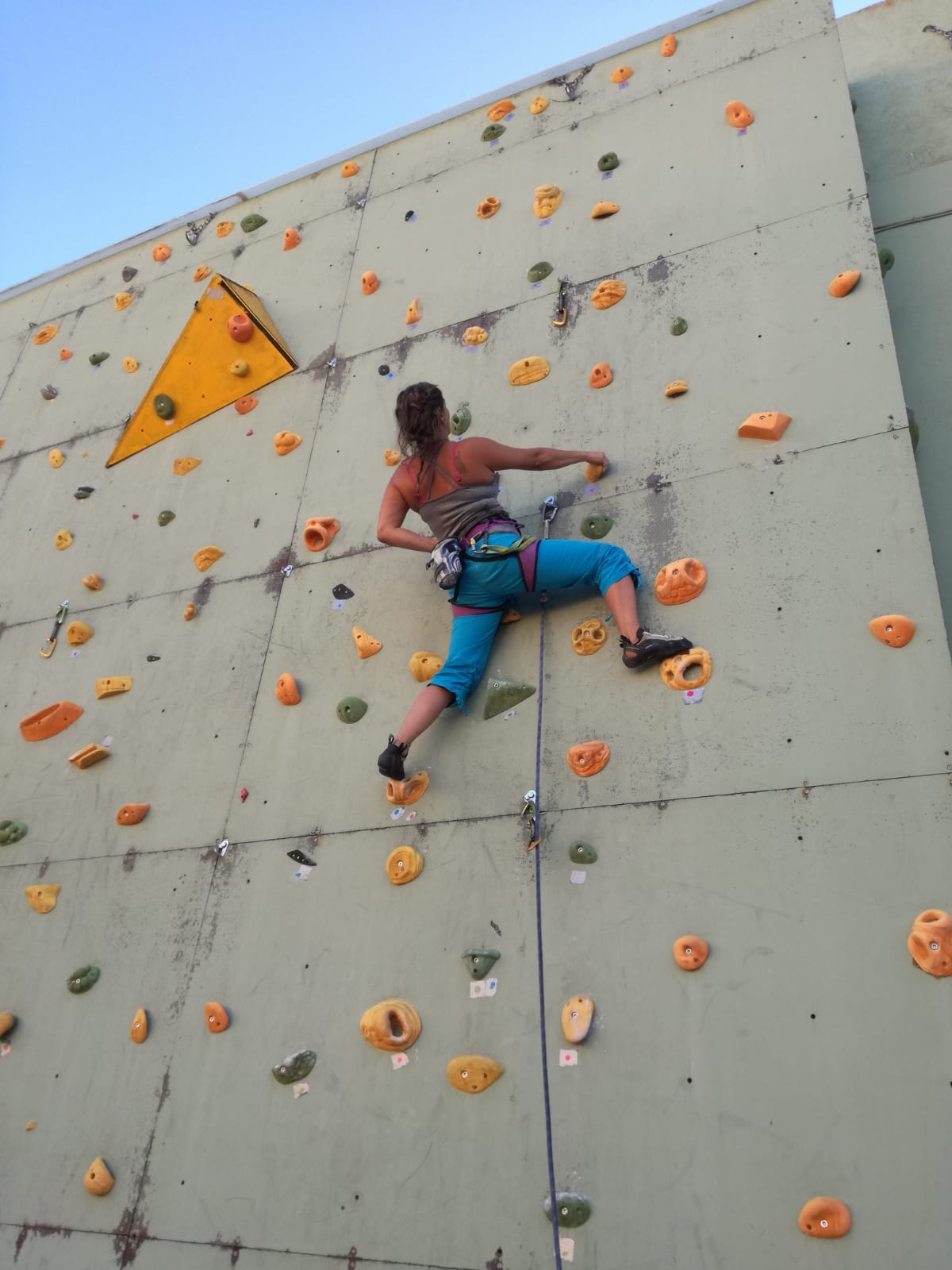 637B93C6 55A1 4B97 B015 B4BAB8254F22