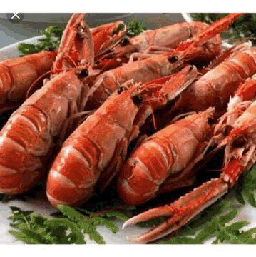 823C057A FB2D 4D60 BC53 EB60826ED508