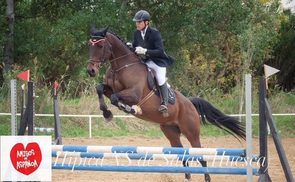 A80A9665 CB1F 474A 91F7 CC5A3026C597