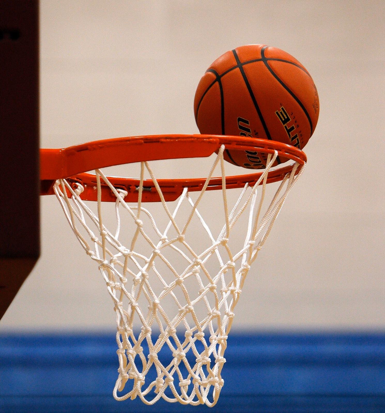 BAC680B5 C392 412D ACA9 B6FED514F0C5