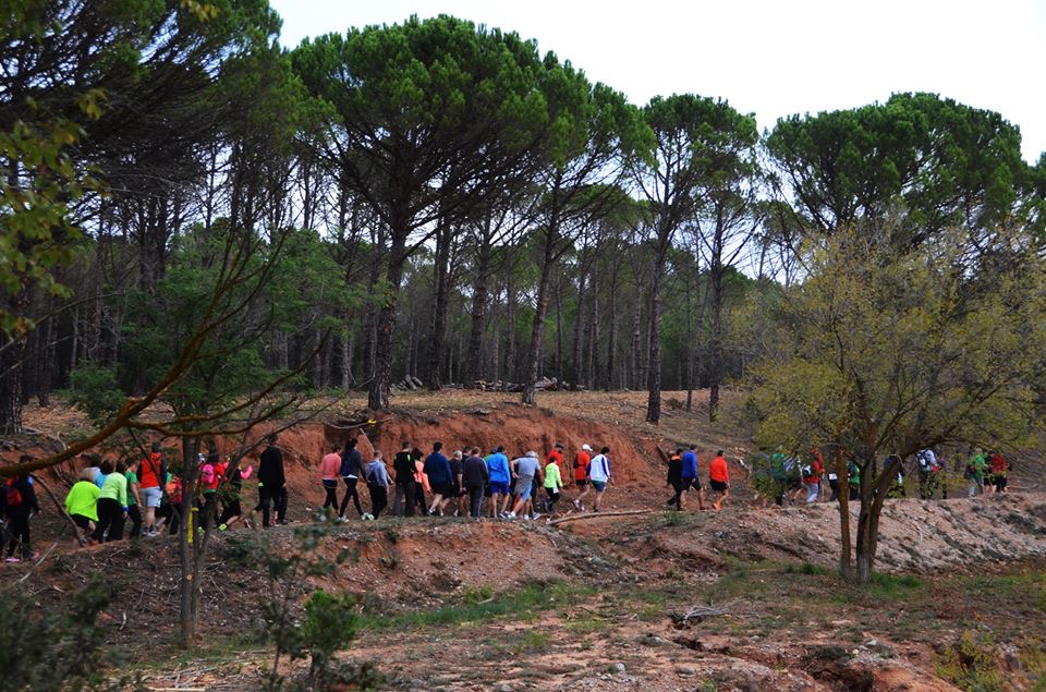 BF68932D CA4A 4715 A724 11E137AB9EF6