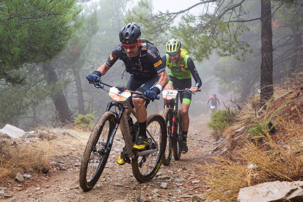 CF8E937E 689F 4EB0 9315 BC4F908739F3