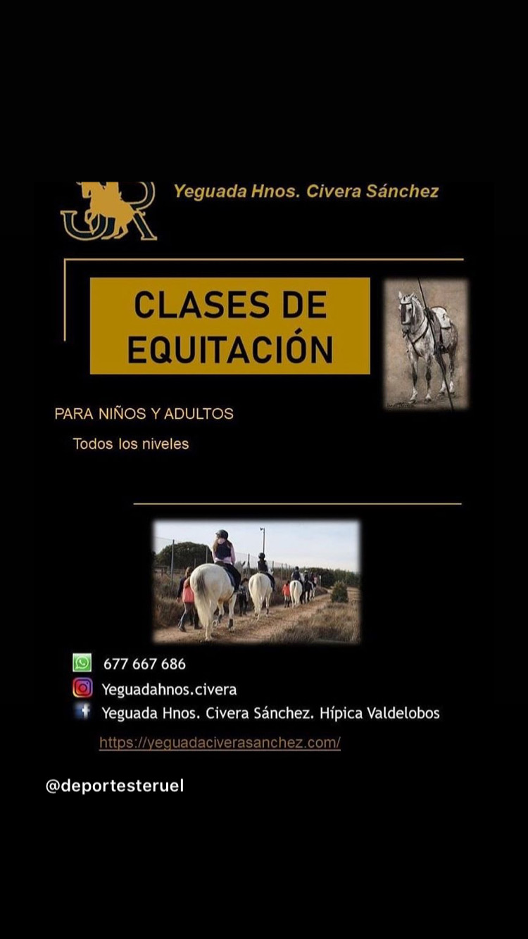 D095951C 1471 4037 B833 DE387939B010