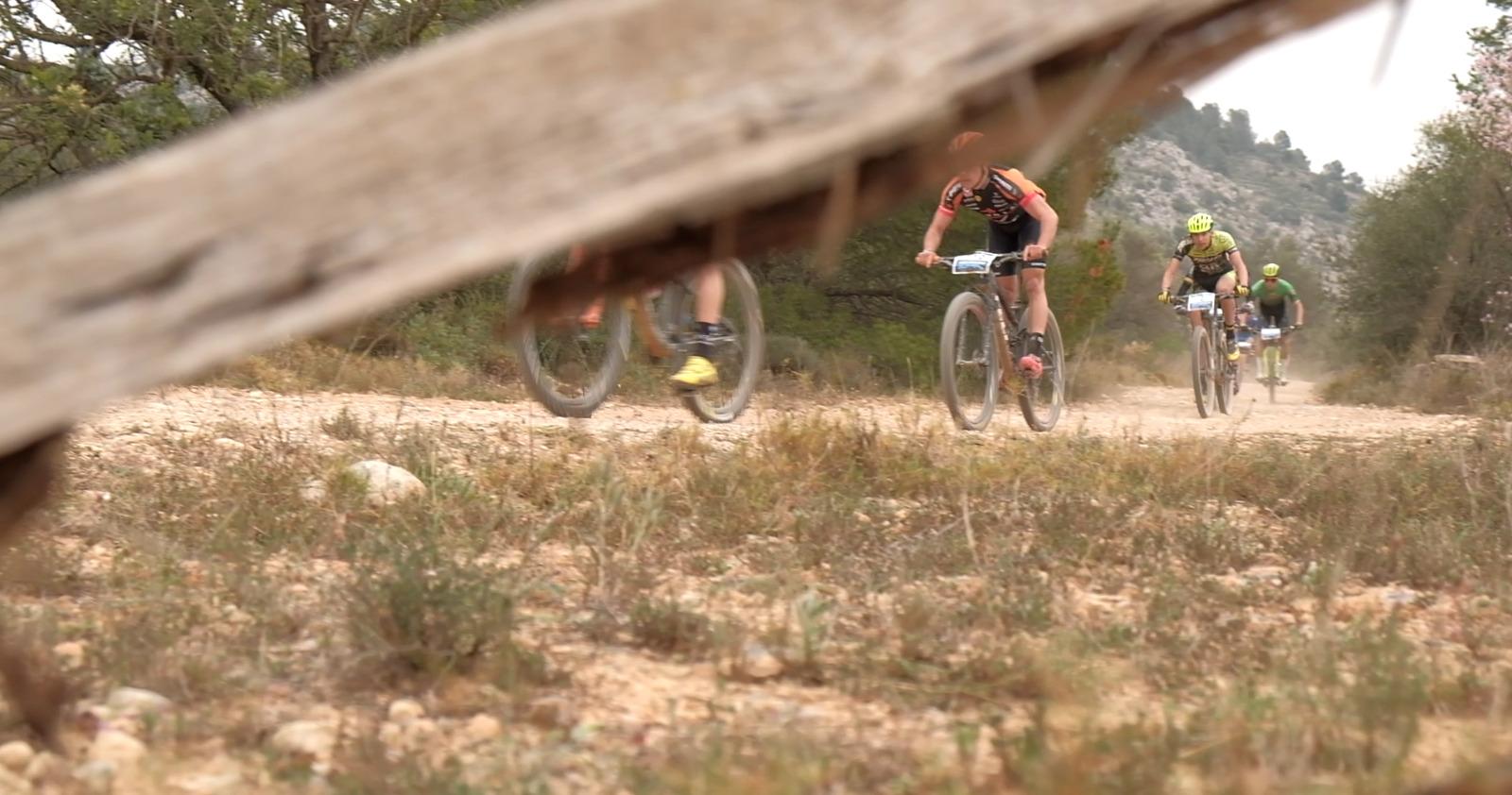 F11D3E8E CA4E 4294 B5B5 F0B35B77190C