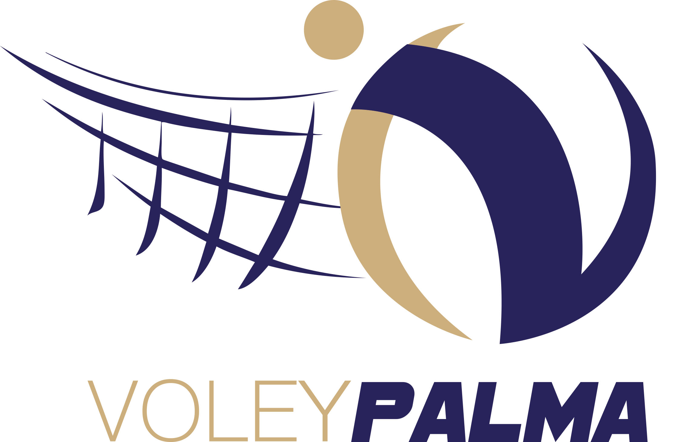 Palma Volley