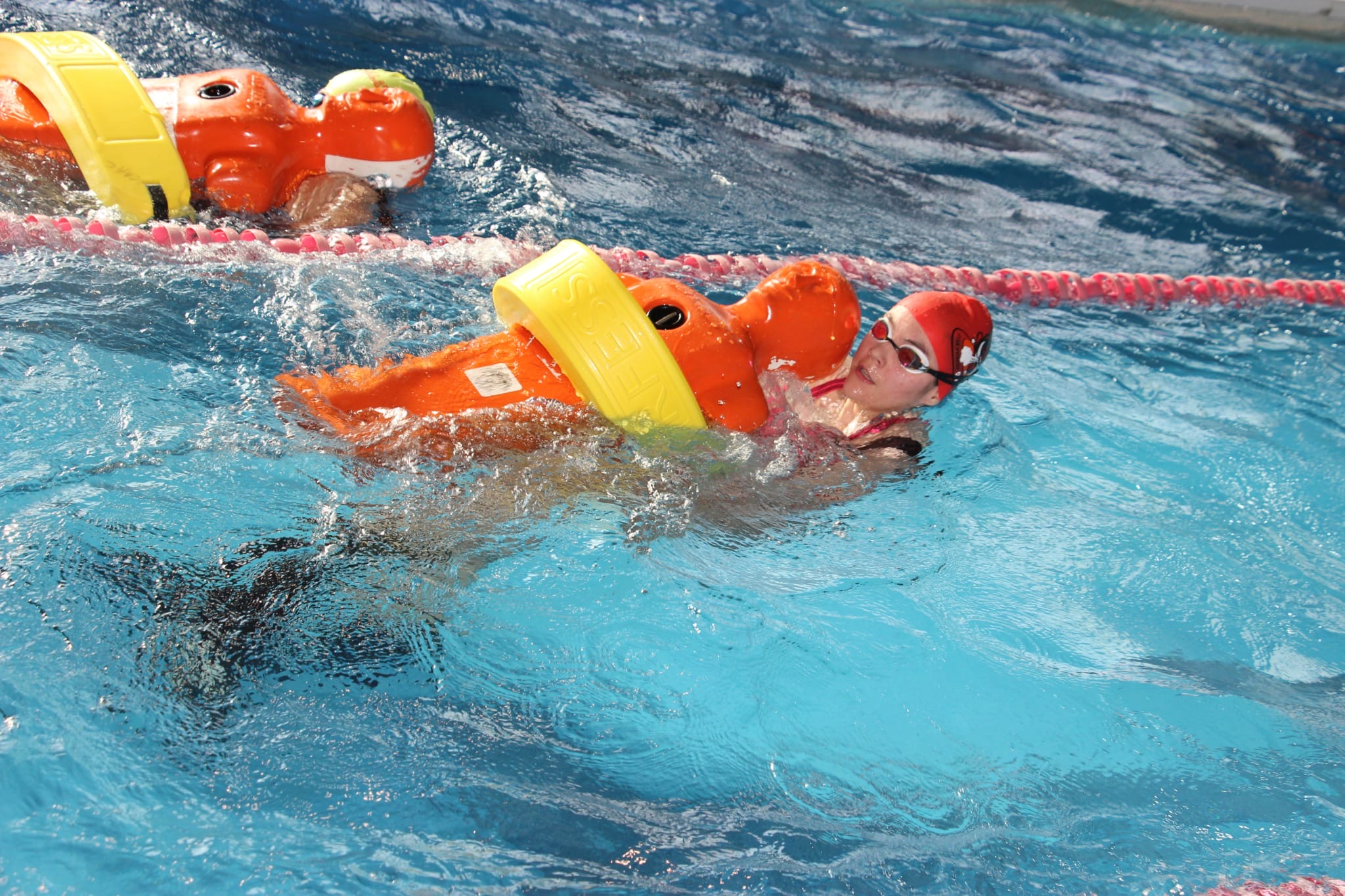 f8c78d02 822f 431d 84b7 490155ff1490