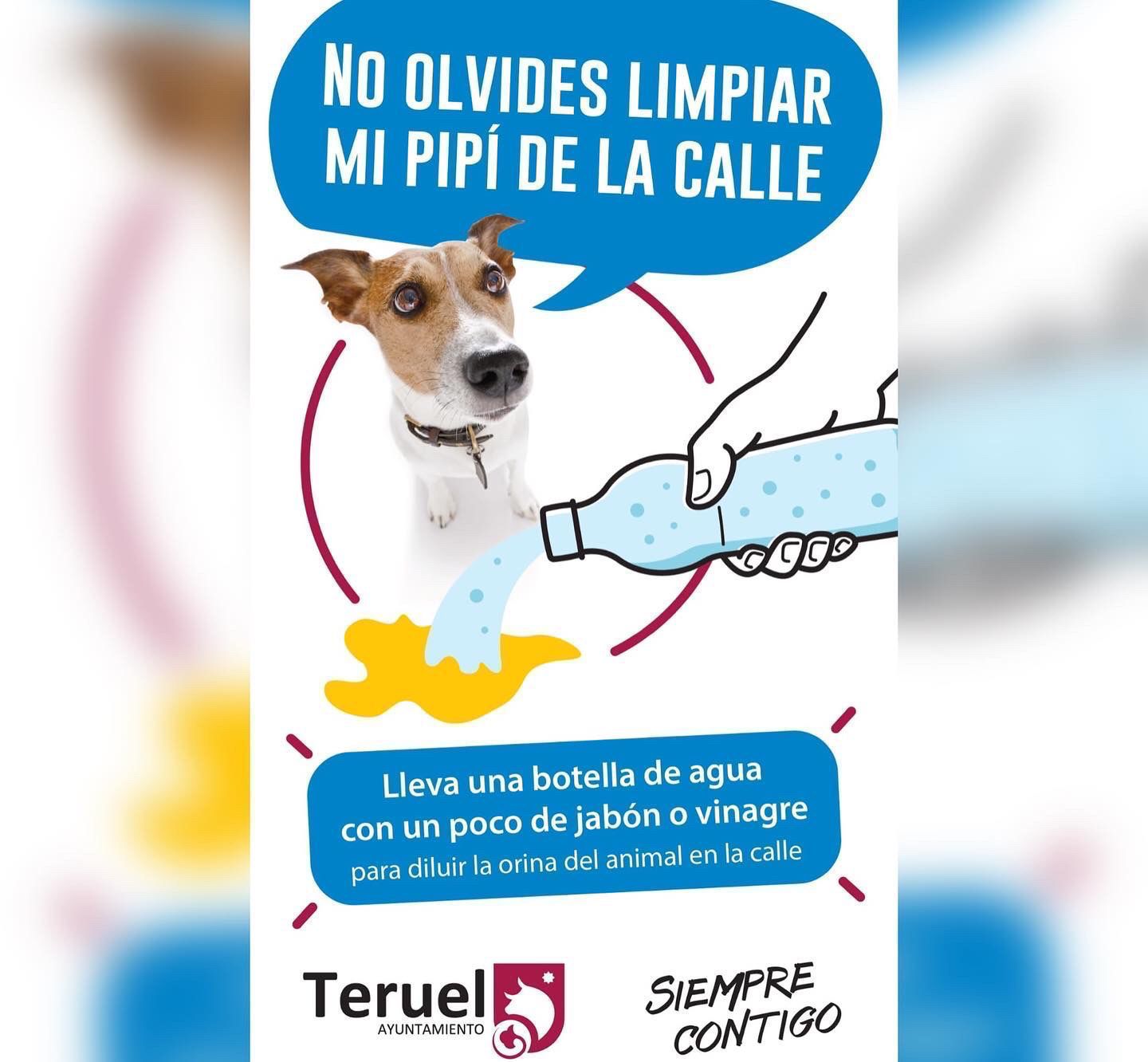 BD046FB3 5FBC 4374 AB11 814B742F9F83