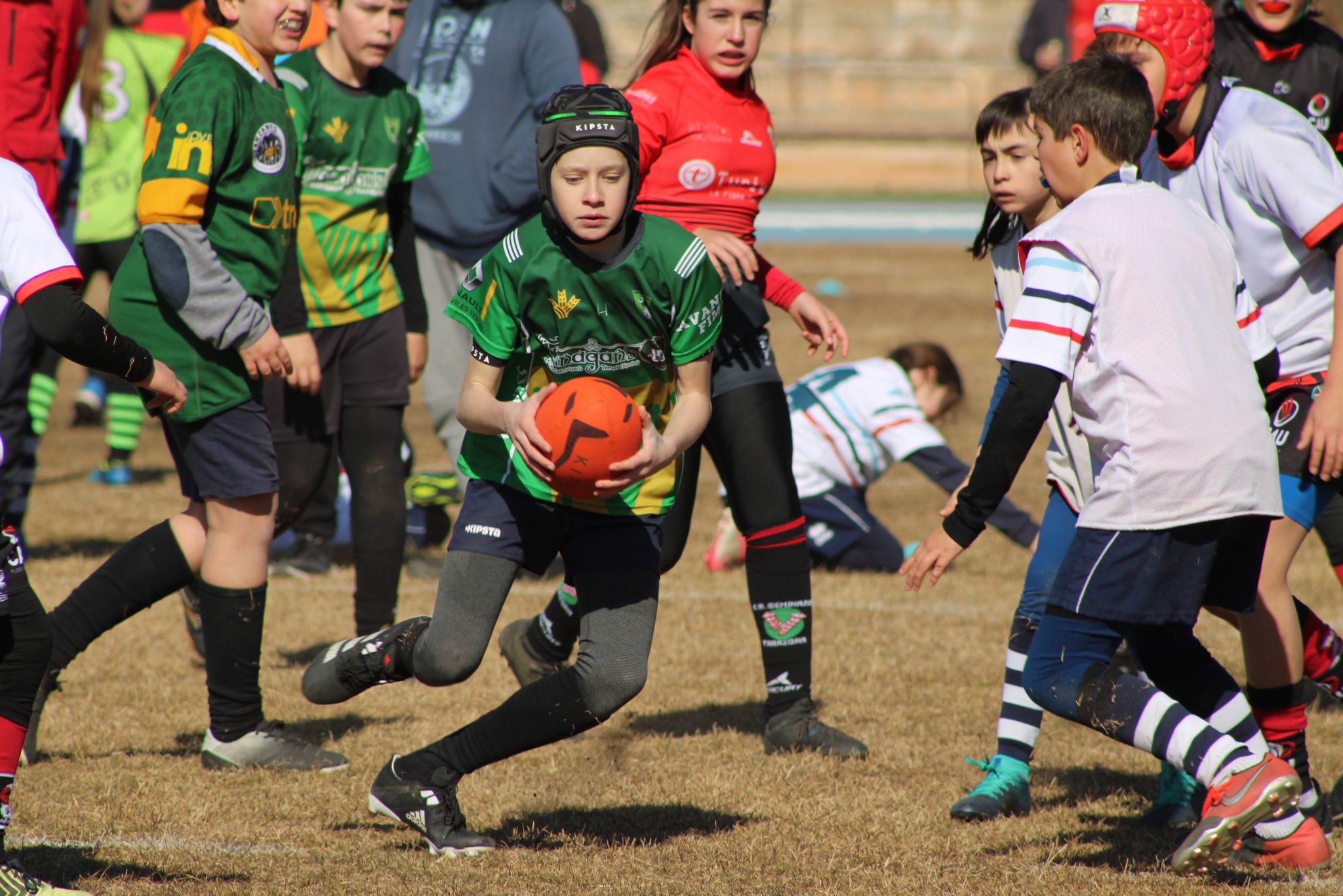 EF929B52 74C4 4ACD 8B55 BEC9C18DB8E8